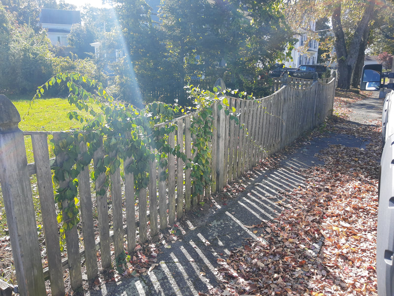 old fence repair